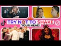 Try Not to Shake Your Head Tiktok Song