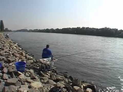 Auf den Punkt getunkt