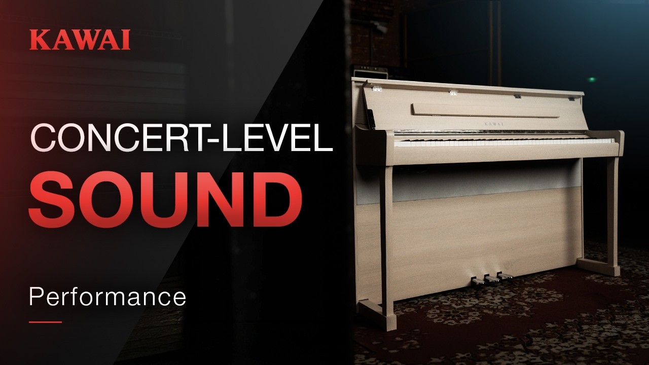 Four Voices, One Vision - Concert Artist Series