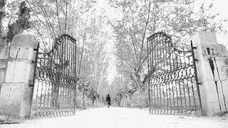 Nothing Else Matters Cover by Toni Cotolí - classical guitar