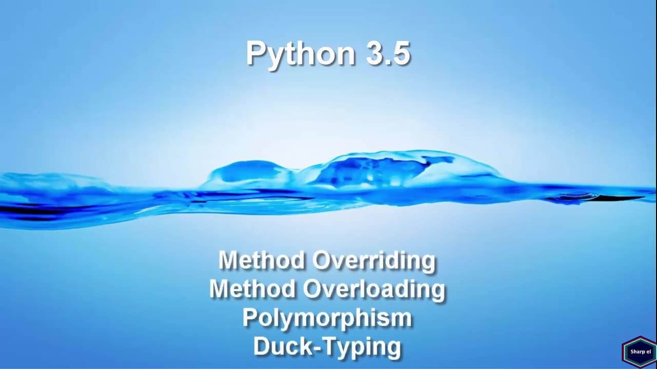 Method Overriding, Method Overloading, Polymorphism and Duck-Typing.