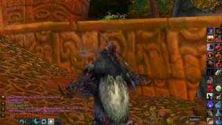 the Druid at WORLD OF WARCRAFT Video