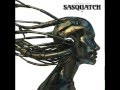 Sasquatch - The Message 