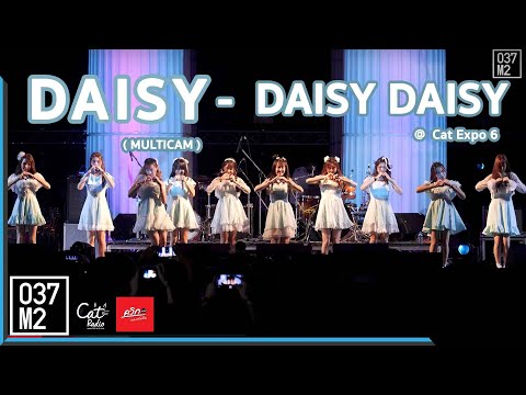 191123 Daisy Daisy - Daisy Daisy @ Cat Expo 6 [Multicam Fancam 4k60p]