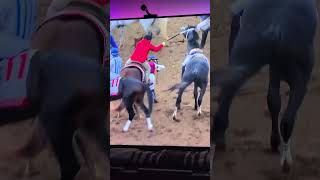 Great White Horse Falling, KY Derby 2026