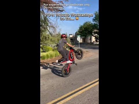Check out this insane wheelie on the Hidoes B6! #wheelie #ebikes