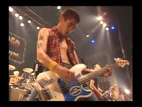 THE POGO / 1990[待ちわびた時](Live)