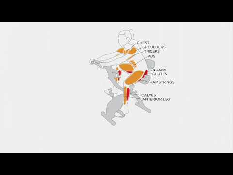 FITNATION Upright & Recumbent Flex Bike Express w/ Echelon App on QVC