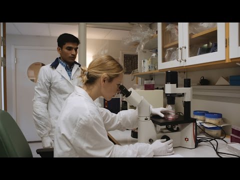 Huden i fokus - varför uppstår cancerceller? Maria Kasper, KI