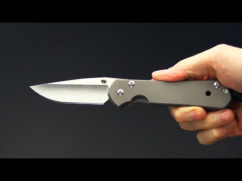 Chris Reeve Large Sebenza 21 with Silver Double Thumb Lugs