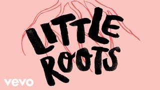 Cover art for Little Roots, Little Shoots