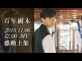 明天中午12時正 張敬軒 《百年樹木》最新MV感動上架 明天中午12時正 張敬軒 《百年樹木》最新MV感動上架