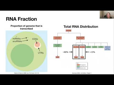 Webinar #11 - Beginner's guide to bulk RNA-Seq analysis