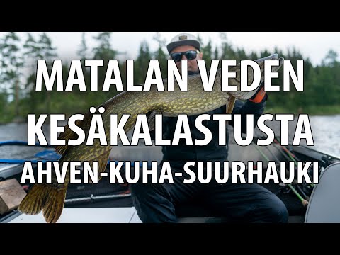 Matalan veden kesäkalastusta: AHVEN | KUHA | SUURHAUKI