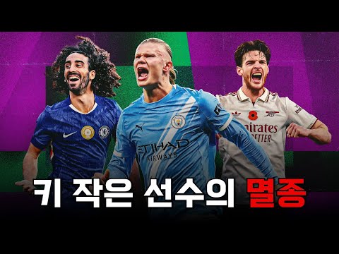 점점 키가 작은 선수들이 경기장에서 사라지고 있는 이유