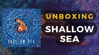 DaniCha - Shallow Sea video thumbnail