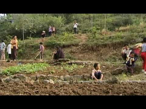 Rural Chinese Farmers