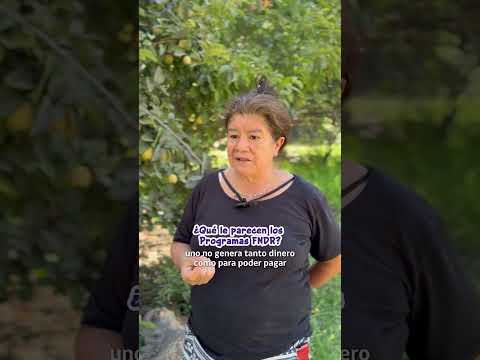 Marilyn Saavedra: Agricultora de Tierra Amarilla. 🌱