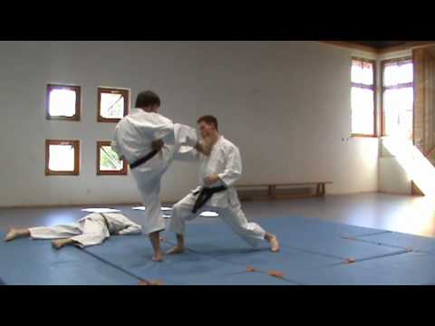 Heian Sandan Bunkai