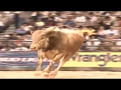 Ladies' Man bucks Gerardo Venegas - 05 PBR Finals