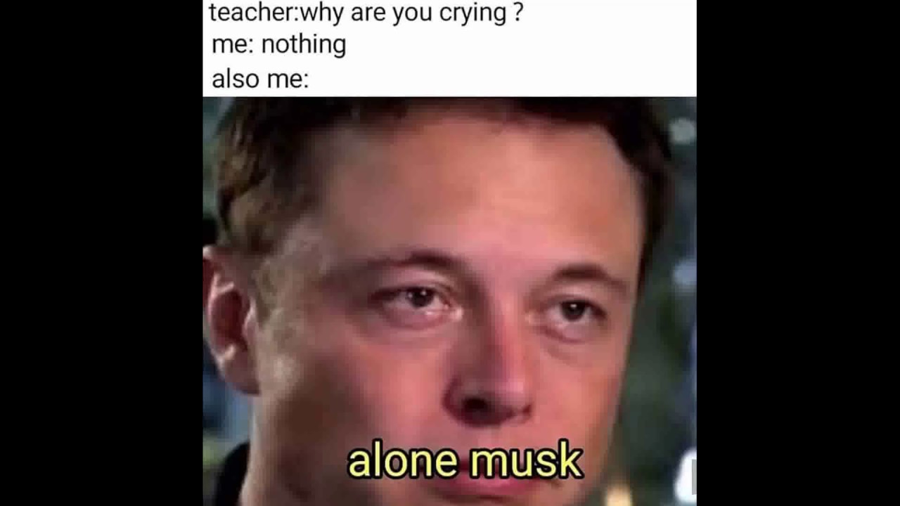 Elon Musk Dankmemes