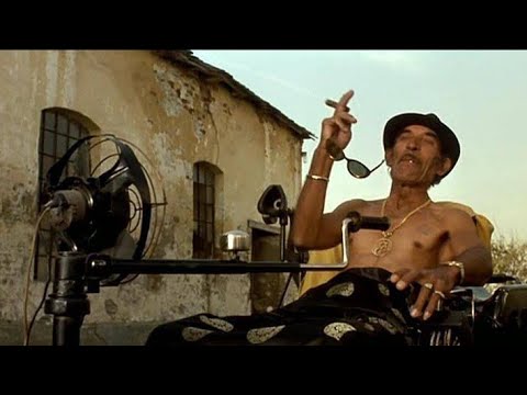 Black Cat, White Cat Full Movie Facts And Review | Bajram Severdžan | Srđan Todorović