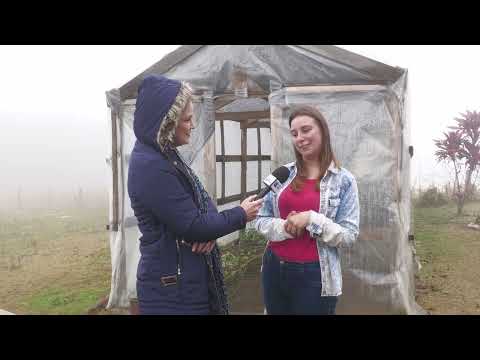 Vamos conhecer o trabalho de uma jovem rural do município de Sertão Santana - Rio Grande Rural