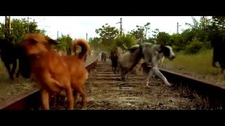 Max Richter - Spring 1 (edit)