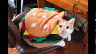 Telephone-by lady gaga-song by kidz bop