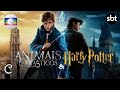 Harry Potter And Fantastic Beasts Promos SBT Globo 2004 2025