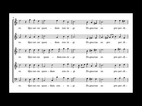 Tallis: O nata lux - Tallis Scholars