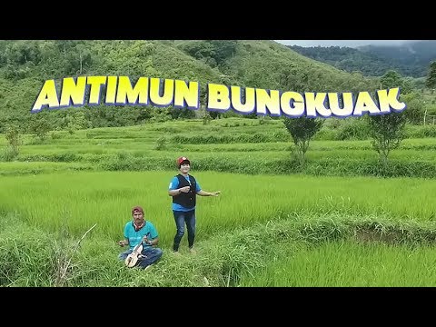 download lagu mp3 mp4 Antimun, download lagu Antimun gratis, unduh video klip Antimun