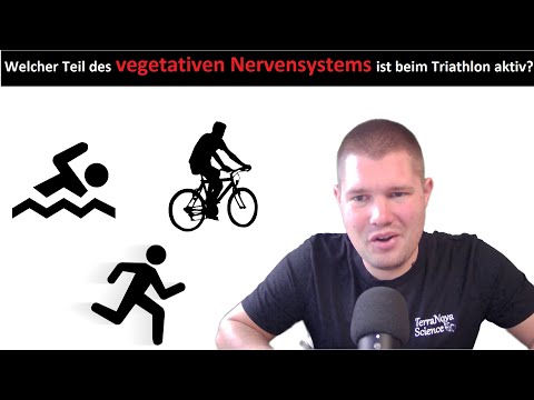 ABI-TRAINING - Neurobiologie (2): Vegetatives Nervensystem | Sympathikus.