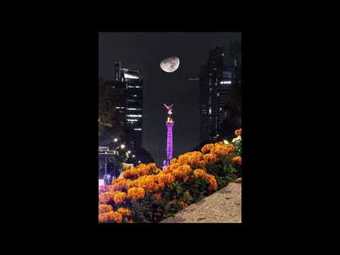 Magnificent and Beautiful November Night.