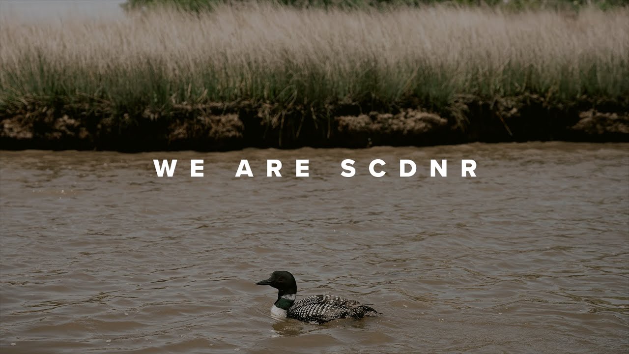 We Are SCDNR
