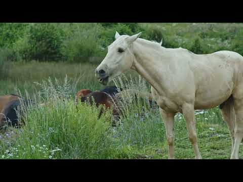 Visualiseringsövning