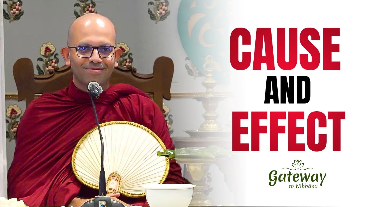 The Theory of Cause & Effect