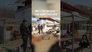 어미 개 앞에서 새끼를.. #shorts #숏톡