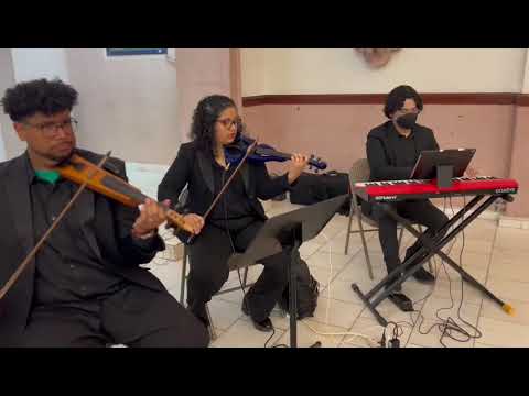 Violin, fiddle,  4/4  pochette style electric image 8