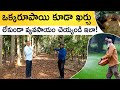 Natural Farming In Telugu - How To Do Organic Farming In Telugu | 0 Budget Farming Tips|@ffreedomapp