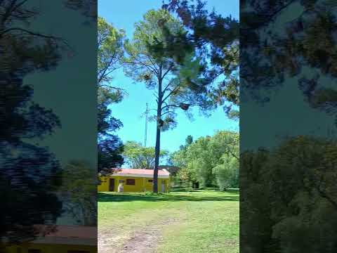 Vistas de Colonia Celina. Parana Campaña. Entre Rios