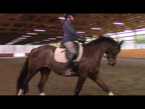 Ma Jolie Clips Jan 2018