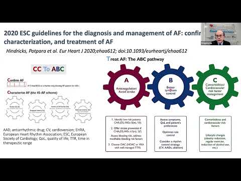 WSA/HSO Webinar - Stroke: integrated care for a challenging syndrome