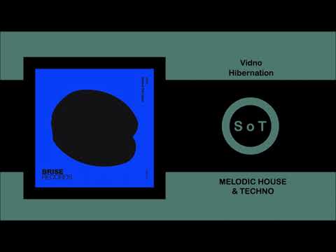 Vidno - Hibernation (Original Mix) [Melodic House & Techno] [Brise Records]