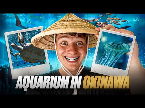 Wir sind ins Aquarium eingebrochen🤣! (AUSVERSEHEN)