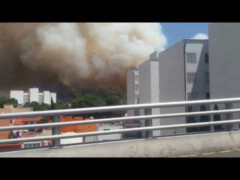 Incendio Ciudad de México,  en Muyuguarda Pastizal  Cuemanco