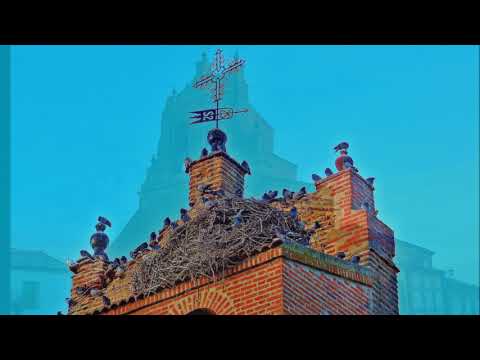 D 247 NAVA DE AREVALO NOHARRE MAGAZOS NAVA DE AREVALO