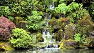 The Best Stream Relaxation scene on Youtube: mother nature's app