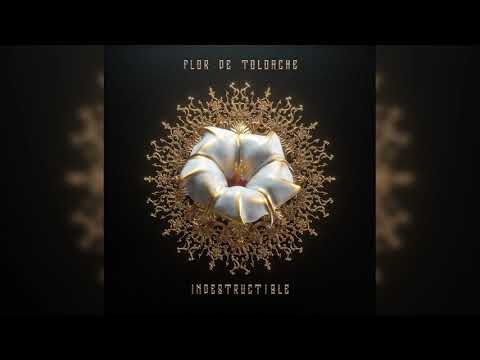 9. Flor de Toloache - Te Lo Dije ft. Miguel (Audio Oficial)