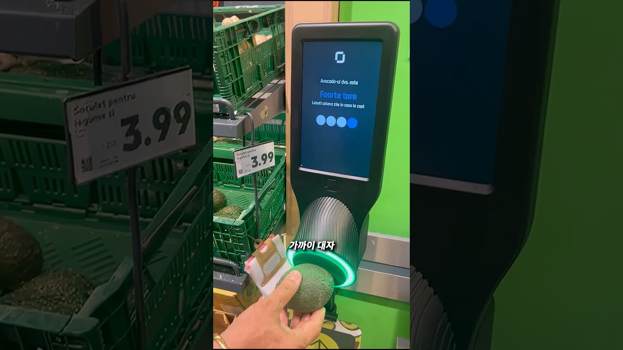 아보카도가 익었는지 알려주는 스캐너